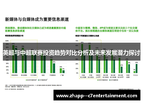 英超与中超联赛投资趋势对比分析及未来发展潜力探讨