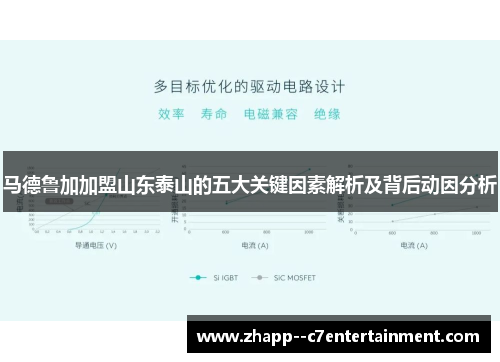 马德鲁加加盟山东泰山的五大关键因素解析及背后动因分析 马德鲁加加盟山东泰山的五大关键因素解析及背后动因分析